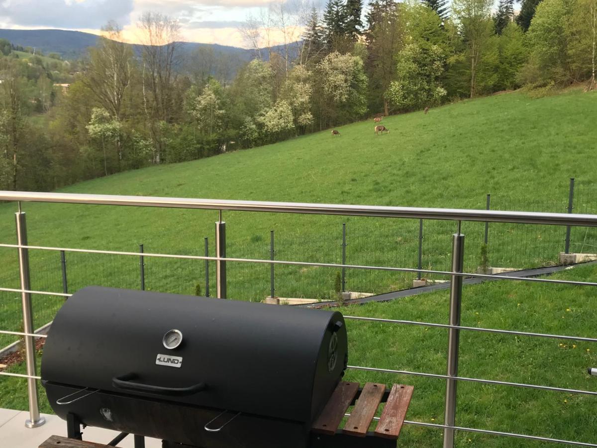 Willa Przy Skoczni Dom Wakacyjny Wisla Bagian luar foto
