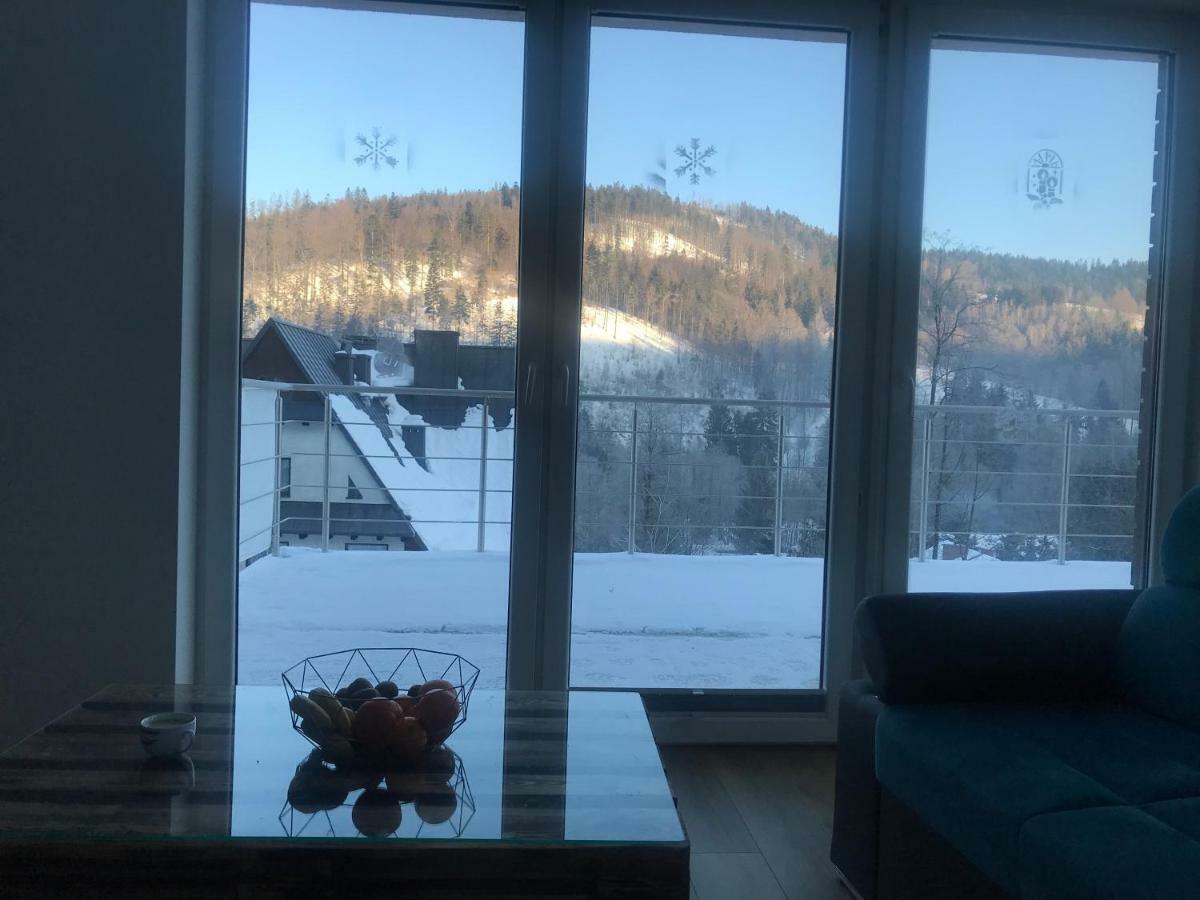 Willa Przy Skoczni Dom Wakacyjny Wisla Bagian luar foto