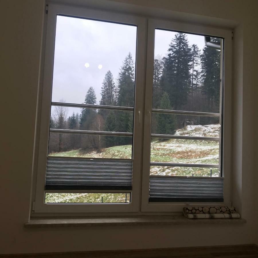 Willa Przy Skoczni Dom Wakacyjny Wisla Bagian luar foto