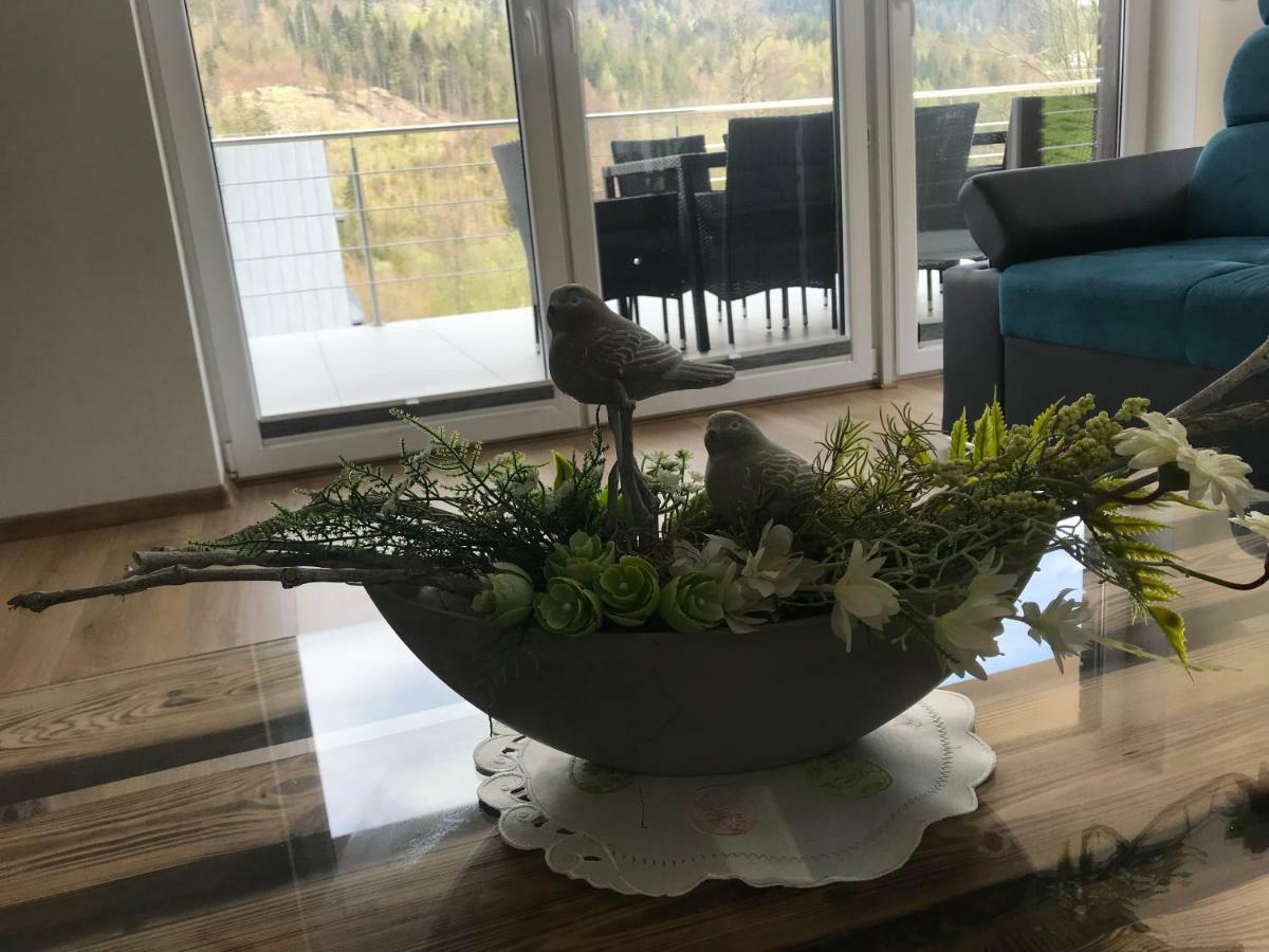 Willa Przy Skoczni Dom Wakacyjny Wisla Bagian luar foto