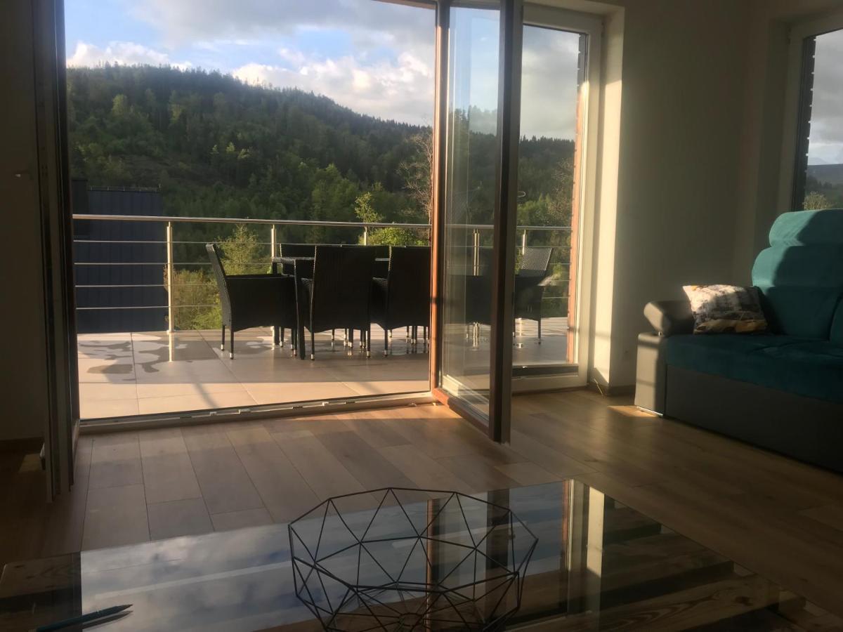 Willa Przy Skoczni Dom Wakacyjny Wisla Bagian luar foto